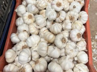 A Spanish company cuts and sells any quantity of