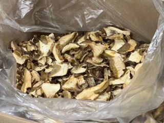 We offer forest mushrooms (boletus, chanterelles). Dry or frozen.