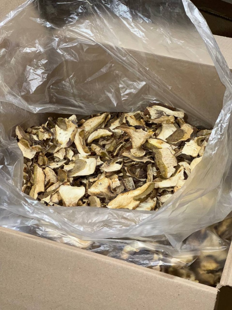 We offer forest mushrooms (boletus, chanterelles)