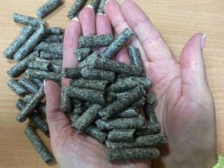 We offer granulated beet pulp without additives in Big