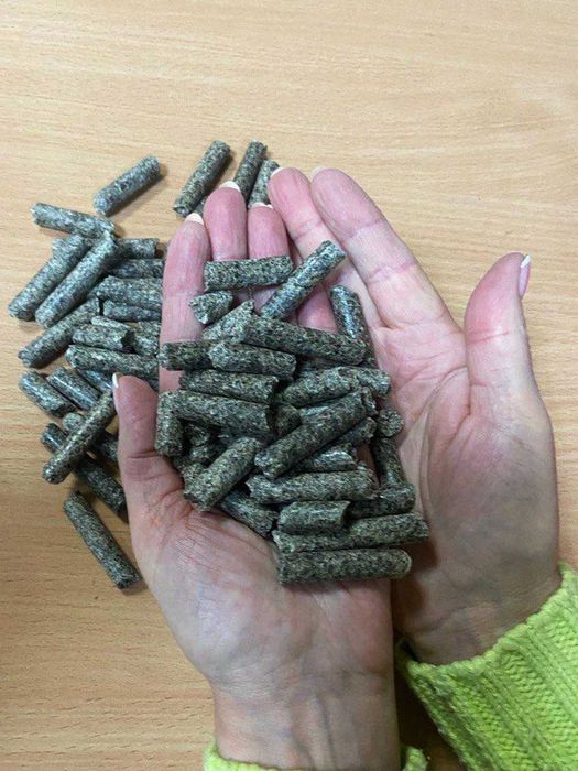 We offer granulated beet pulp without additives in Big Bags Basic parameters (from quality CERTIFICATE): Mass fraction of crude protein: - 15 Mass fraction of