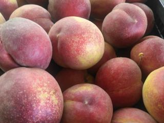 We offer peaches - more varieties from Macedonian and