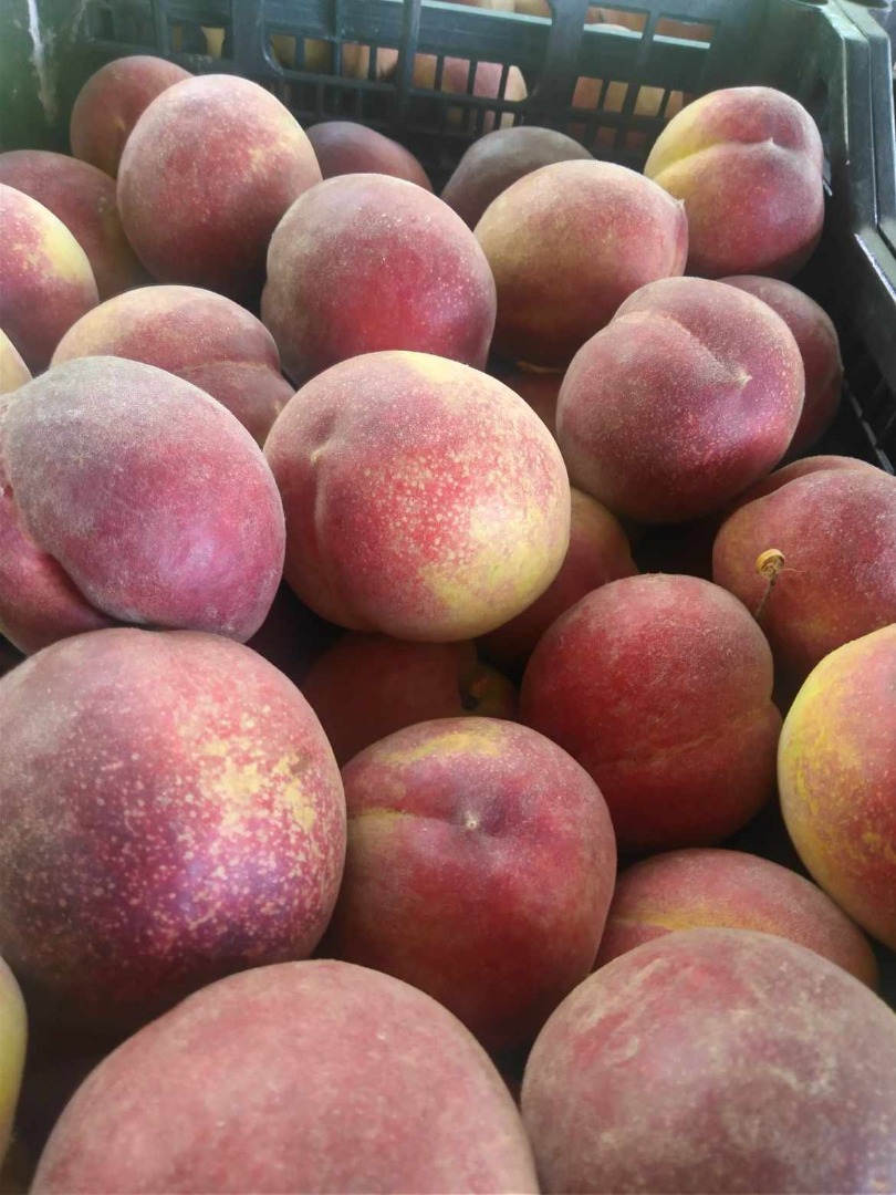 We offer peaches - more varieties from Macedonian and Greek origin