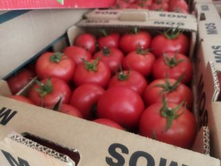 We have a truckload of tomatoes for sale, about