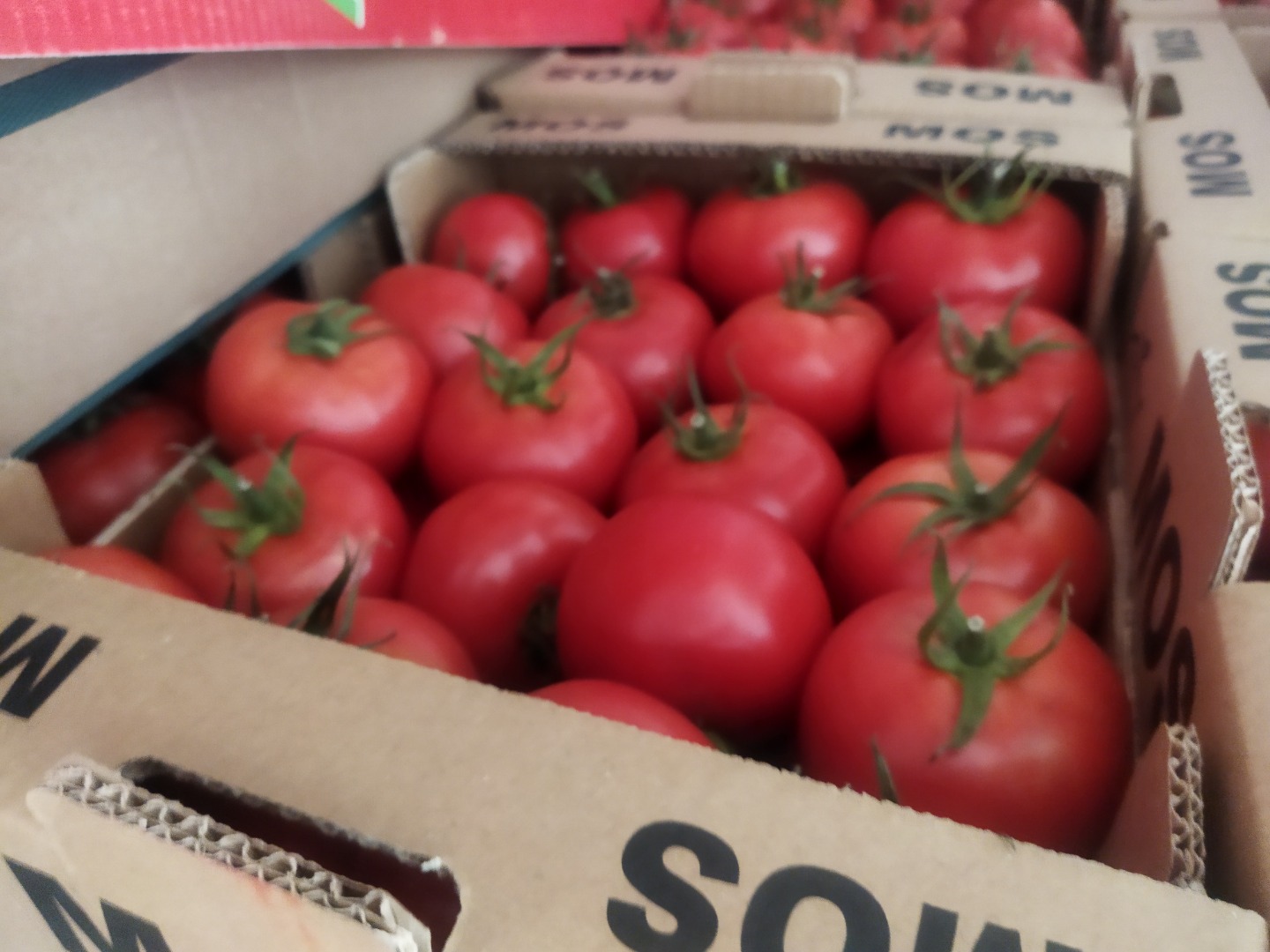 We have a truckload of tomatoes for sale, about 20 tons of tomatoes, which had problems with cold assembly during transport and need to be processed quite