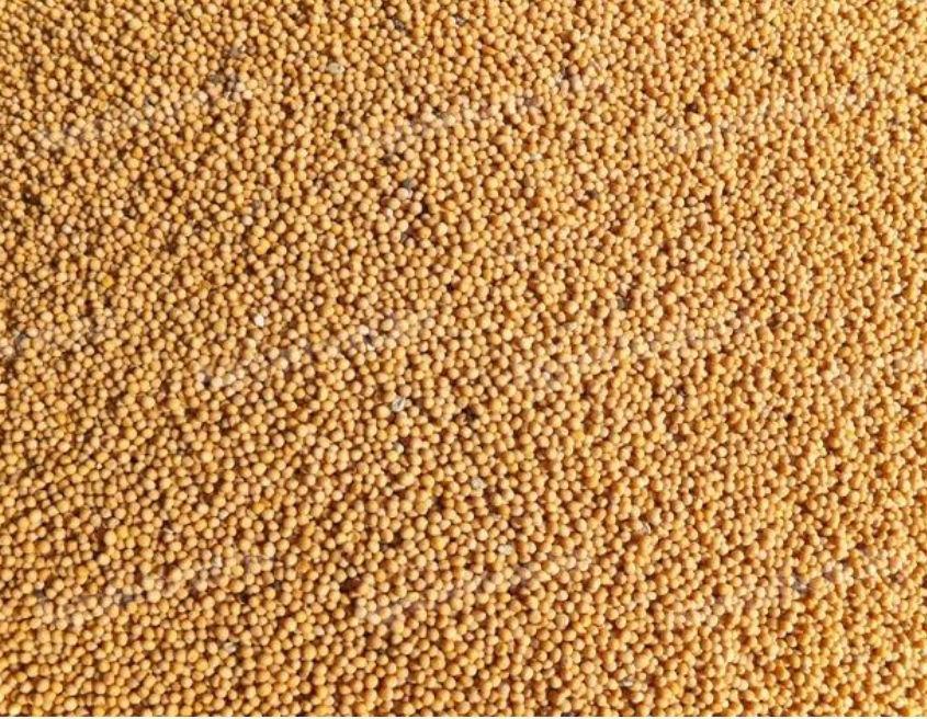 Green peas for sale
