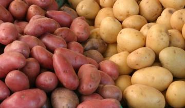 I sell edible potatoes of the following varieties: Belarosa, Red Fantasy, Colomba, Otolia, Anais, Monte Carlo