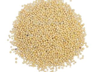The DARI NEBES srl company has white mustard for