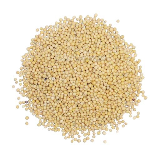 The DARI NEBES srl company has white mustard for sale in large quantities