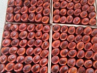 Dried Natural Apricot Packing box 5 kg / 1