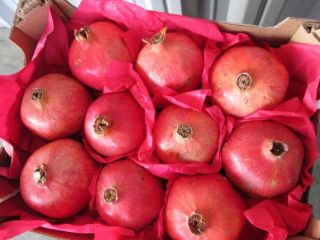 Fresh pomegranate fruits export from Uzbekistan season starting from