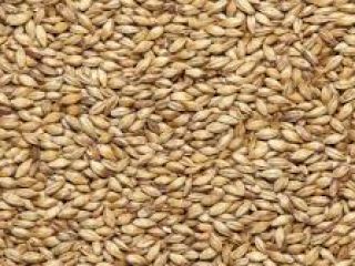The Ukrainian company sells malting barley in the amount