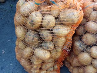 I will sell edible potatoes, Gala and Korona varieties.