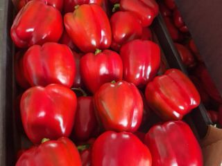 I will sell premium peppers in any packaging.