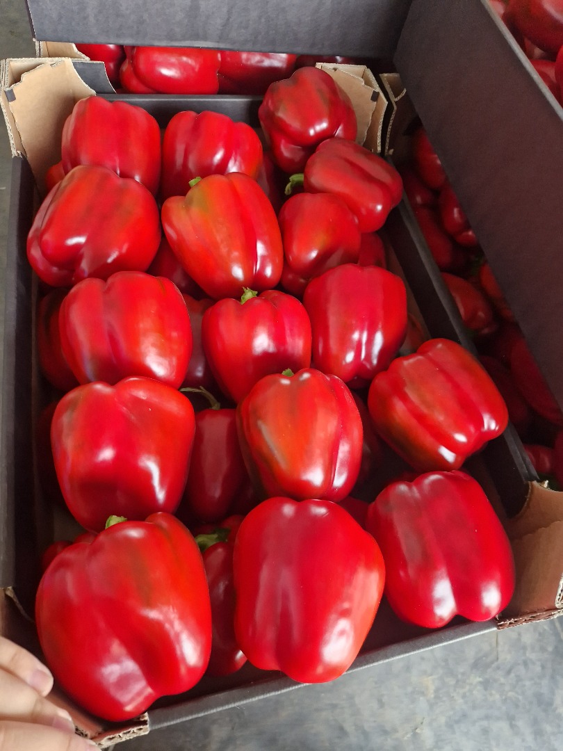 I will sell premium peppers in any packaging
