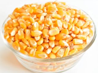 Yellow Corn that is used for preparing variety of