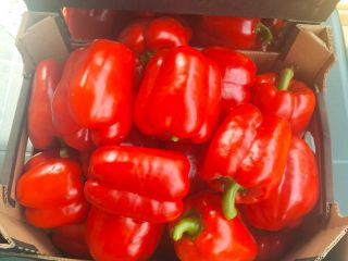 I am selling red peppers of class I and