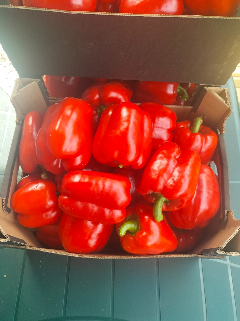 I am selling red peppers of class I and II