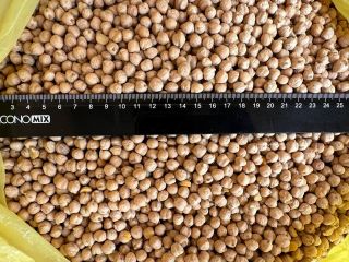 We will sell chickpeas of caliber +6 +8.SORTEX quality.Please