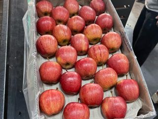 We are a company that exports apples from Poland,