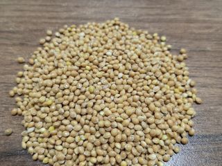 We offer yellow millet. The quality meets European standards.