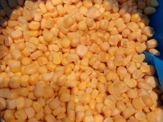 iqf frozen sweet corn export product new august month