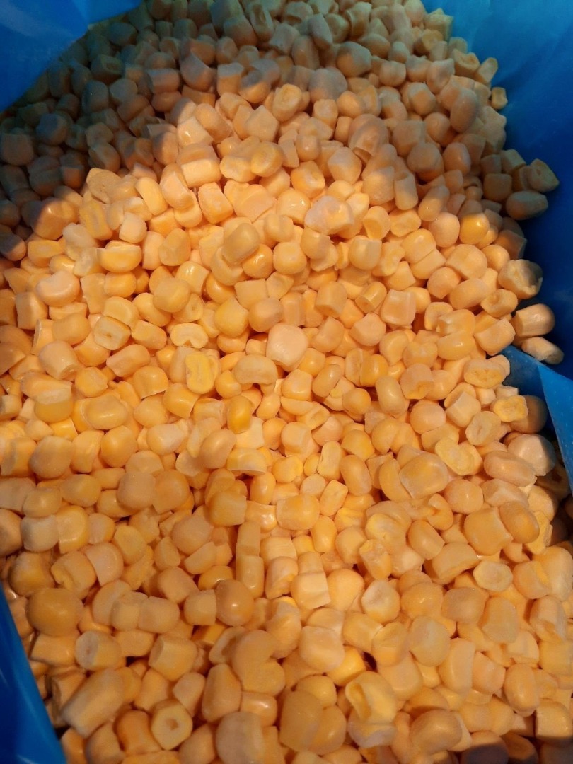 iqf frozen sweet corn export product new august month 2024 year 1 kg - 0.75 euro packing box 10 kg and other iqf frozen product can export
