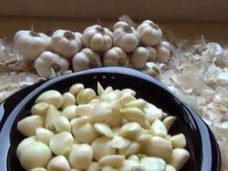 I offer white and violet garlic, first and second