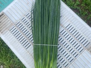 I will sell chives (parade).