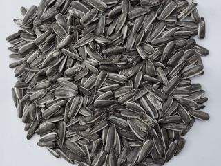 200 tons of striped sunflower seeds for sale from