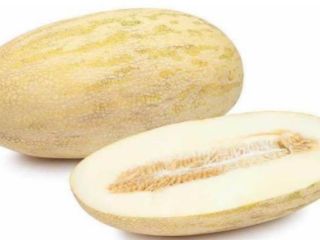 Good day. We will sell melons. Variety - Torpedo.