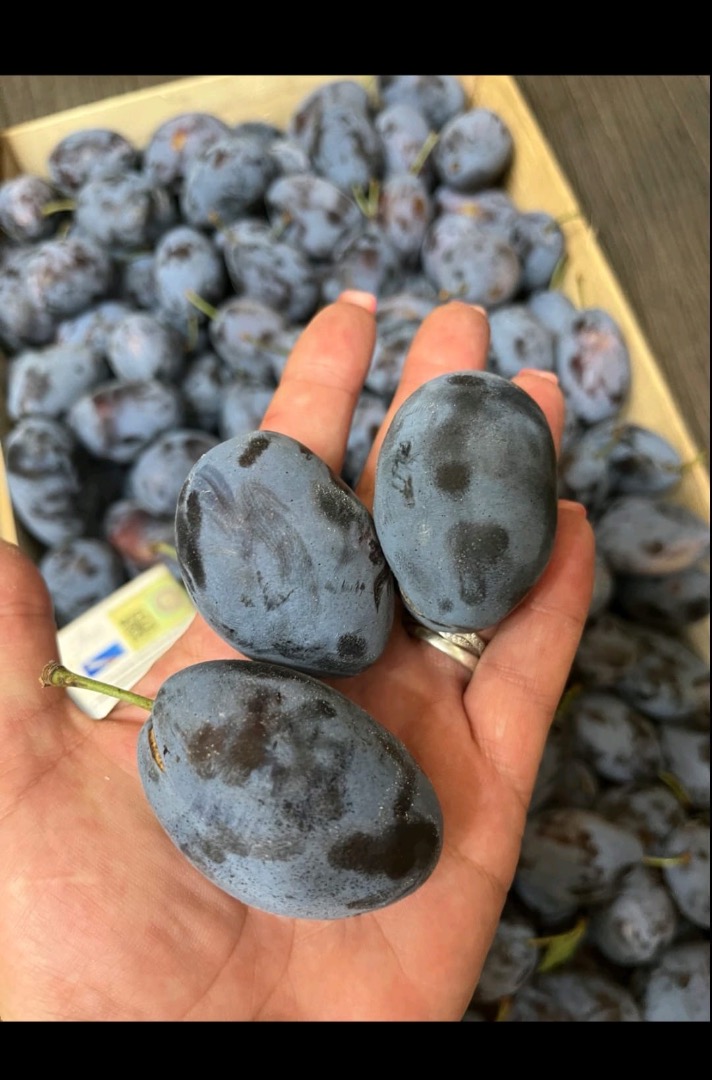 Moldovan Stanley Plum in large quantities, price negotiable