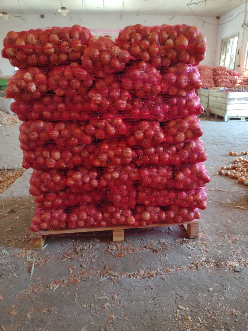 Onion variety Nogal is located in the village of Choba, Plovdiv region, phone: +[phone number]