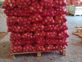 I am selling onion variety Nogal, located in the