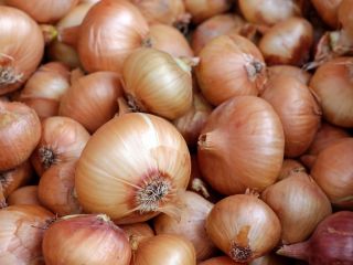 I will sell onions in quantities of up to