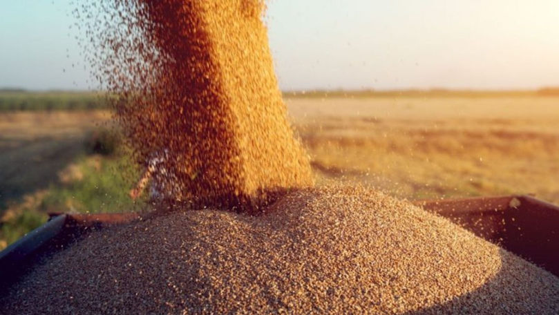 WHEAT
