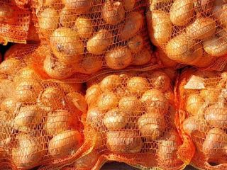 I sell white onions packed in bags of 5,