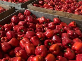 We offer whole and sliced red and green melange