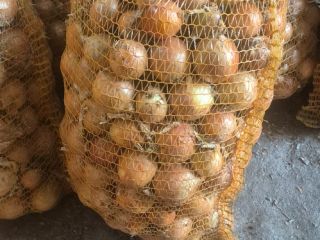 I will sell onions. 15 kg bag. Possibility of