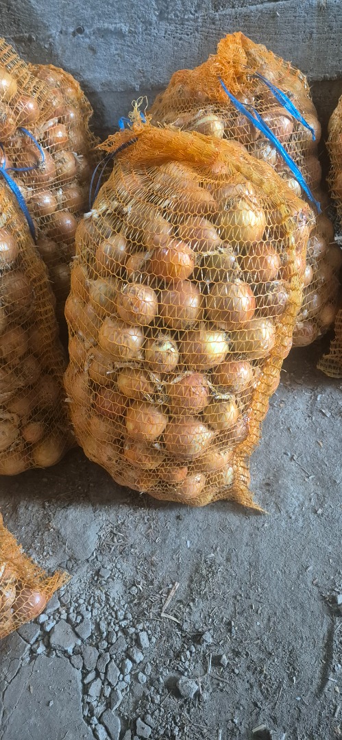 I will sell onions