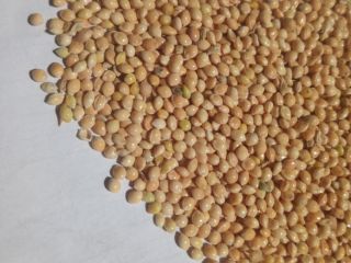 Продам millet yellow, white without glyphosate.