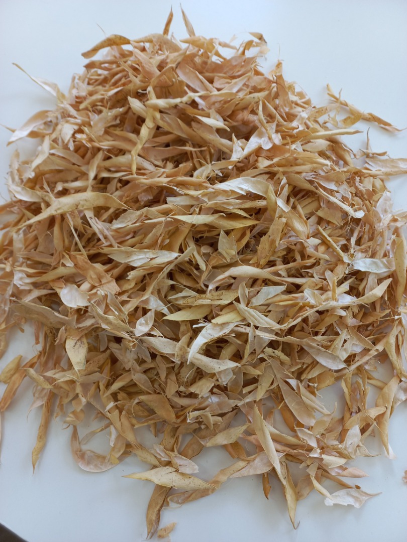 I will buy dried bean pods (Phaseolus vulgaris L.)