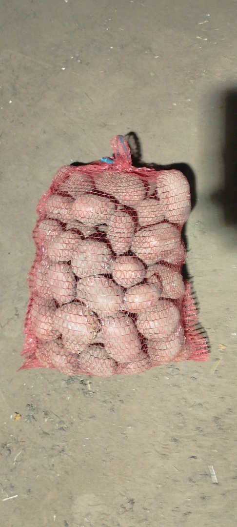 Hello, I am selling belarose and vinet potatoes, yellow potatoes