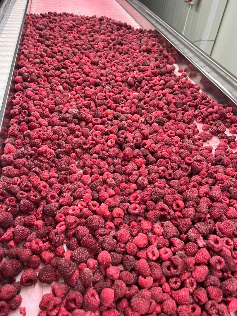 I have an unlimited amount of frozen raspberries for export
