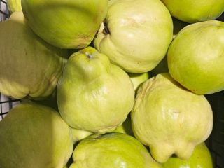 FRUCTELE CARE VA ADUC SANATATEA DE TOAMNA PLINA DE