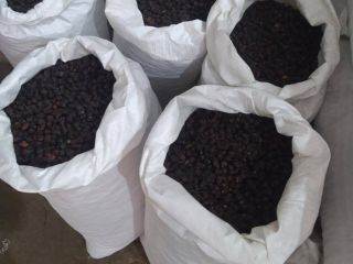 Introducing our dried Rosa Canina (rose hip) "Globe": We