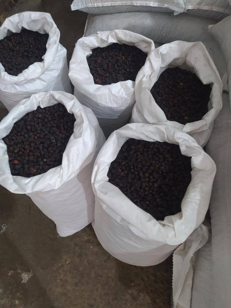 Introducing our dried Rosa Canina (rose hip) "Globe": We have 400 tons available in Odessa, ready for shipment
