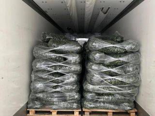 ❗️We sell fresh Romanian vegetables wholesale! ❗️We sell fresh