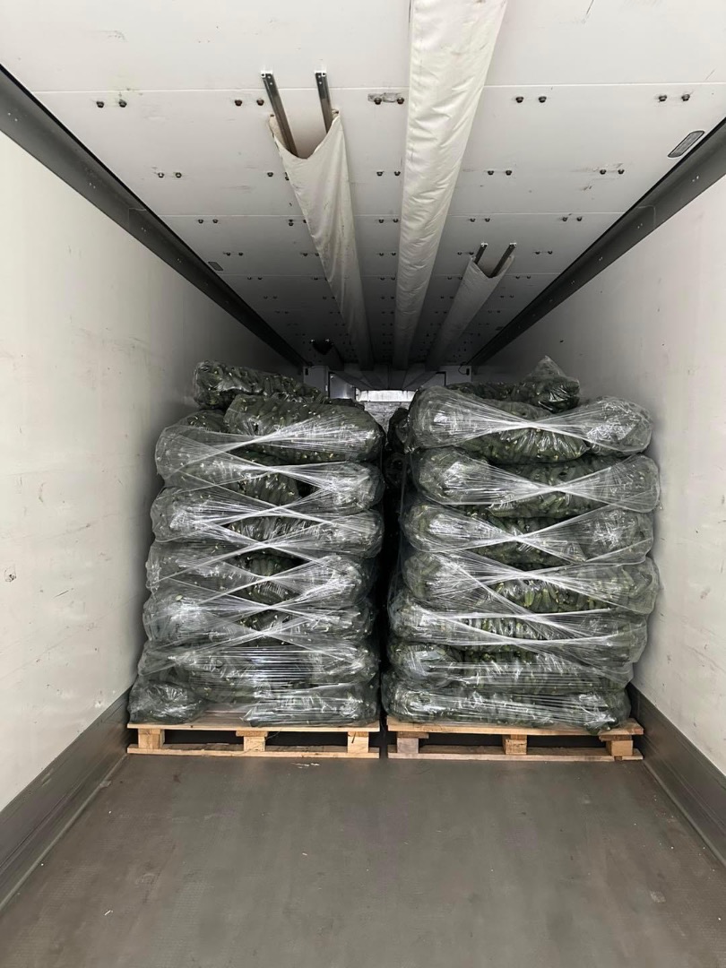 ❗️We sell fresh Romanian vegetables wholesale! ❗️We sell fresh Romanian vegetables wholesale! ☎️ More details on whatsapp at phone number ☎️More details on