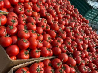 ❗️We sell fresh Romanian vegetables wholesale! ❗️We sell fresh